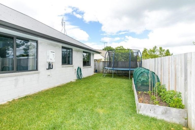 Photo of property in 35b Goldsmith Street, Leamington, Cambridge, 3432