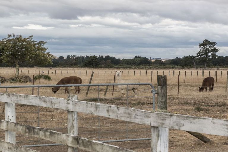 Photo of property in 126 Paierau Road, Opaki, Masterton, 5881