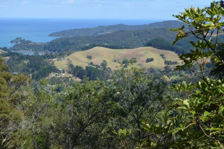 Photo of property in 1455 Buffalo Road, Coromandel, 3506