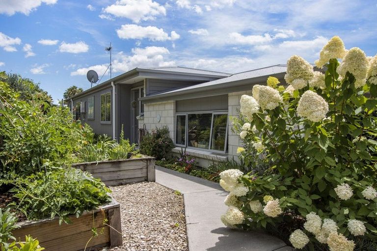 Photo of property in 159 Margaret Drive, Omokoroa, 3114