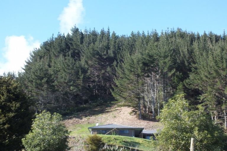 Photo of property in 69d George Street, Hikurangi, 0114