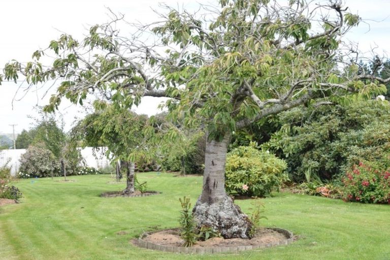 Photo of property in 351 Island Edendale Road, Menzies Ferry, Wyndham, 9891