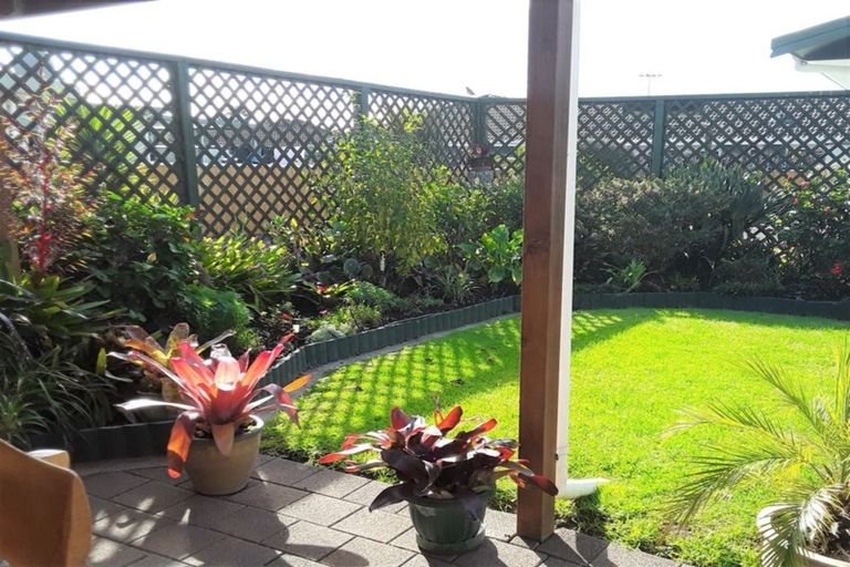 Photo of property in 222 Chartwell Avenue, Whangamata, 3620
