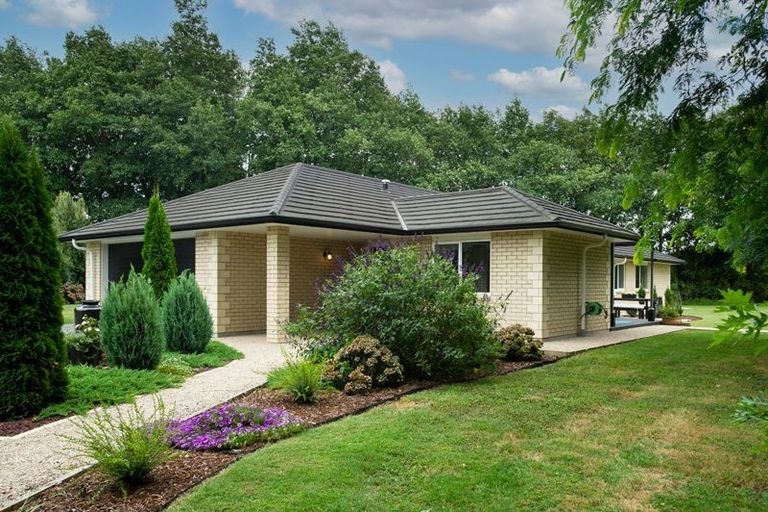 Photo of property in 29 Sheffield Street, Matamata, 3400