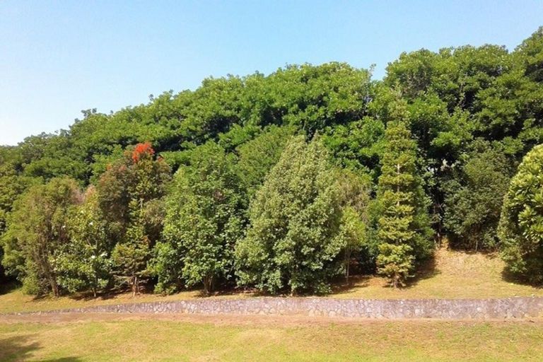 Photo of property in 45b Blue Gum Lane, Kerikeri, 0293