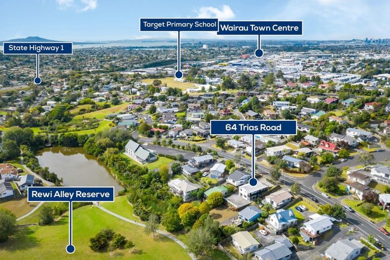 Photo of property in 64 Trias Road, Totara Vale, Auckland, 0629