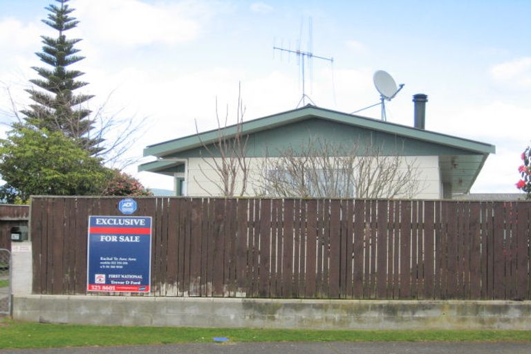 Photo of property in 87 Strathmore Avenue, Levin, 5510