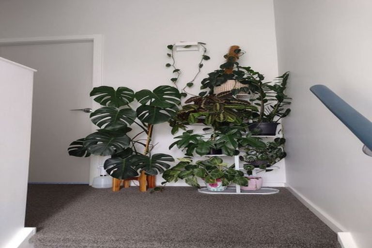 Photo of property in 33c Bracken Road, Paparangi, Wellington, 6037