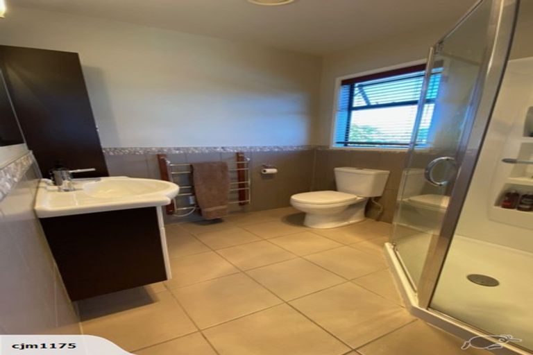 Photo of property in 317b Inglefield Street, Pirongia, Te Awamutu, 3876