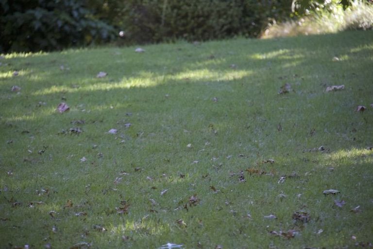 Photo of property in 111 Hastings Road, Pyes Pa, Tauranga, 3112