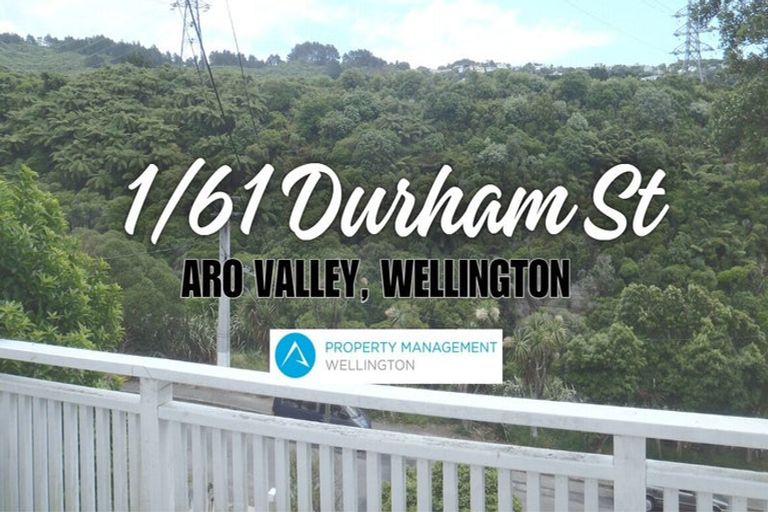 Photo of property in 61 Durham Street, Aro Valley, Wellington, 6021