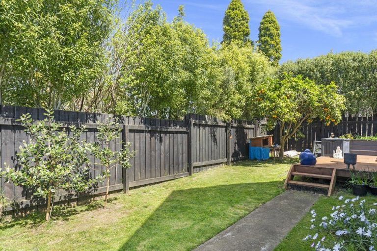 Photo of property in 64b Haukore Street, Hairini, Tauranga, 3112