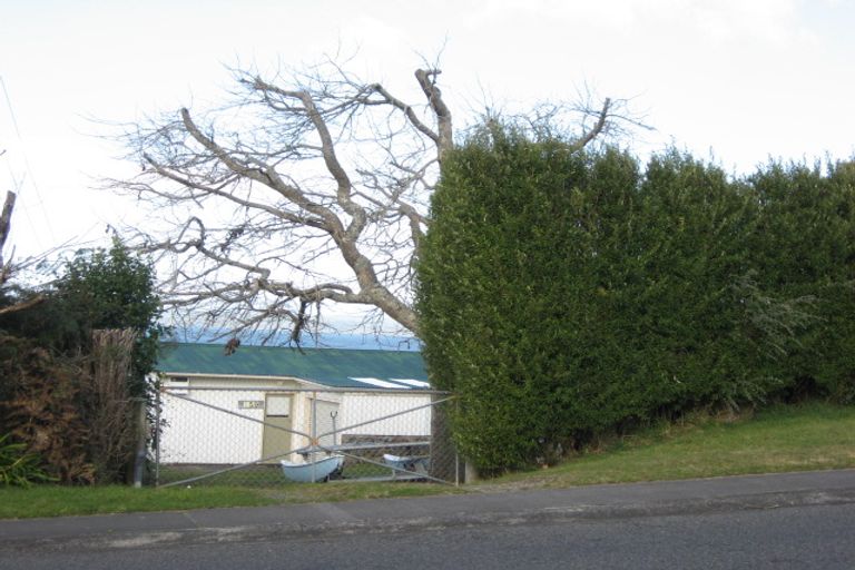 Photo of property in 159 Omori Road, Omori, Turangi, 3381