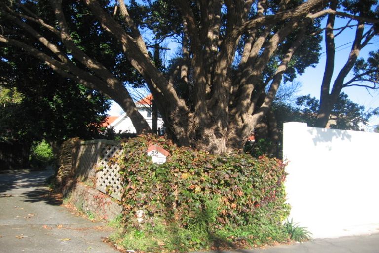 Photo of property in 62 Kings Crescent, Hutt Central, Lower Hutt, 5010