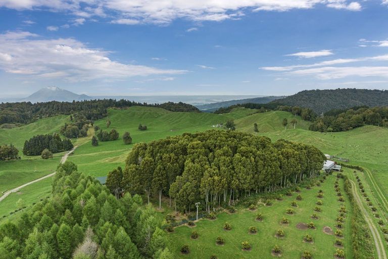 Photo of property in 473a Matahi Road, Rotoma, Whakatane, 3194