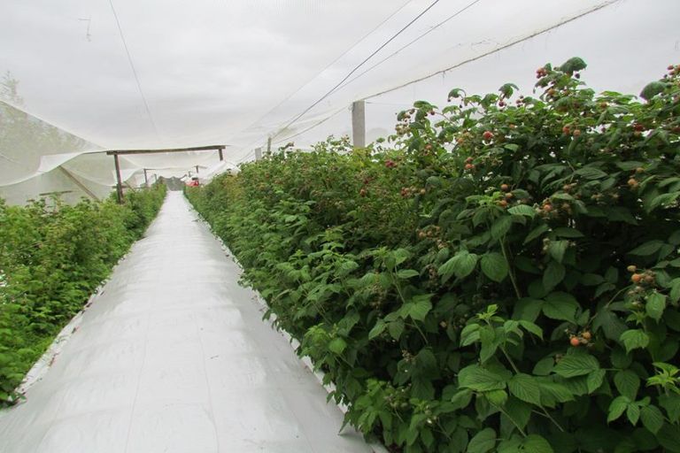 Photo of property in 71c Keri Downs Road, Kerikeri, 0294