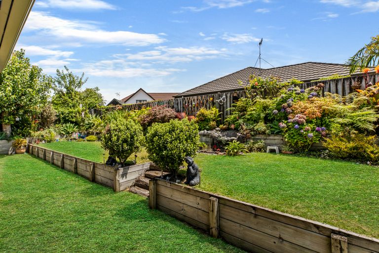 Photo of property in 25 Bethlehem Heights, Bethlehem, Tauranga, 3110