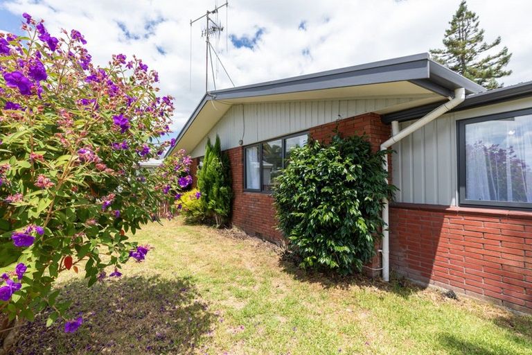 Photo of property in 29 Collingwood Street, Judea, Tauranga, 3110