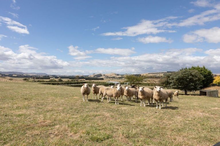 Photo of property in 28 Cowper Side Road, Dannevirke, 4976