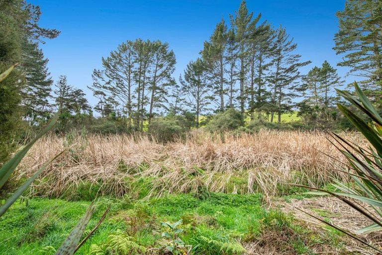 Photo of property in 42 Manuka Grove, Helensville, 0875