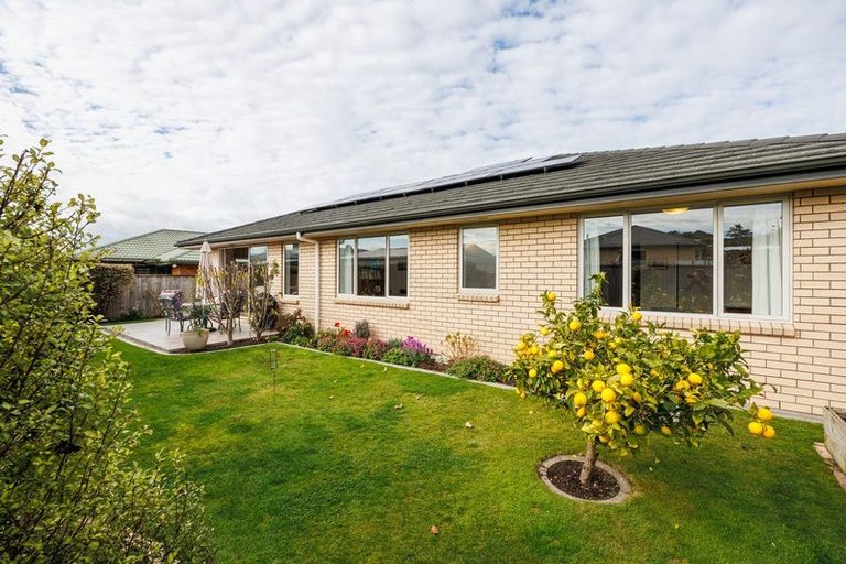 Photo of property in 128a Warwick Street, Feilding, 4702