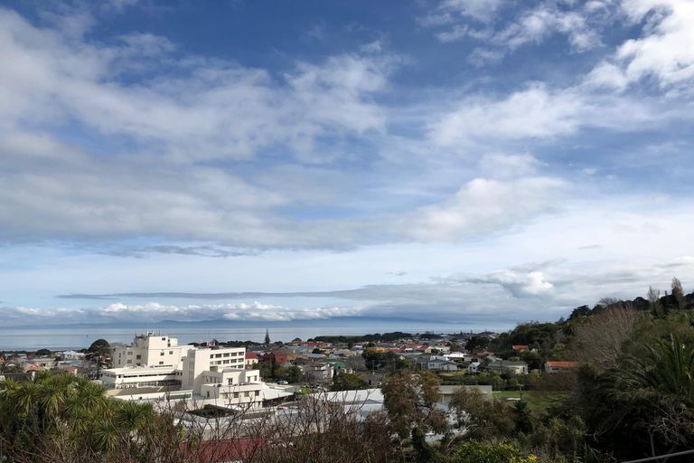 Photo of property in 121 Edward Street, Thames, 3500