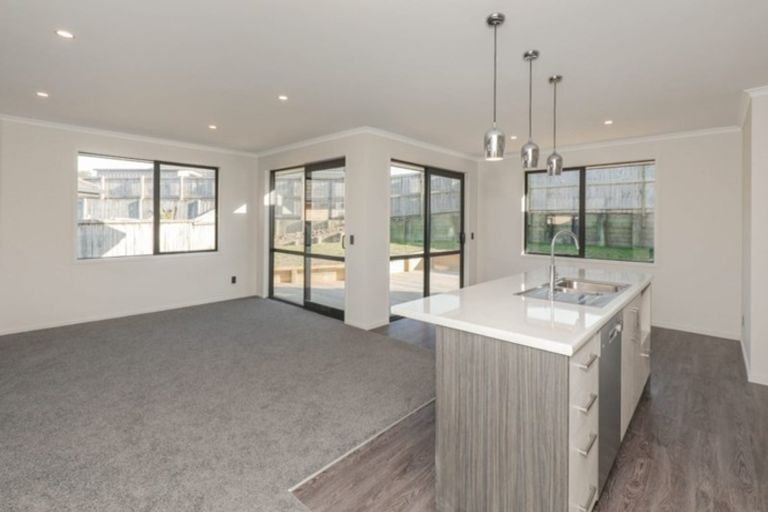Photo of property in 17 Ribbonwood Close, Te Kauwhata, 3710