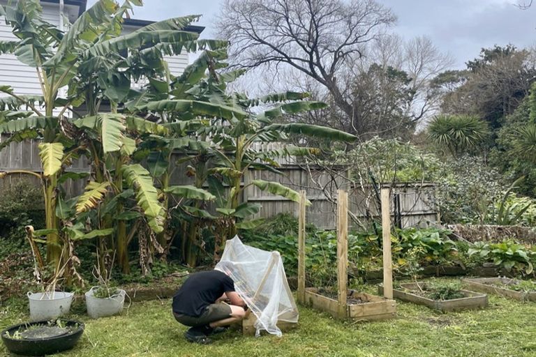 Photo of property in 2/24 Lauderdale Road, Birkdale, Auckland, 0626