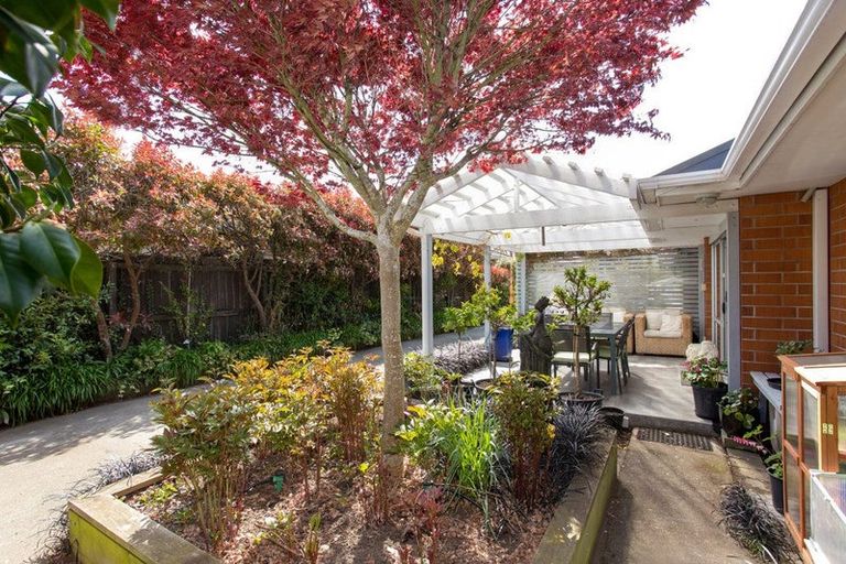 Photo of property in 49b Ambleside Drive, Burnside, Christchurch, 8053