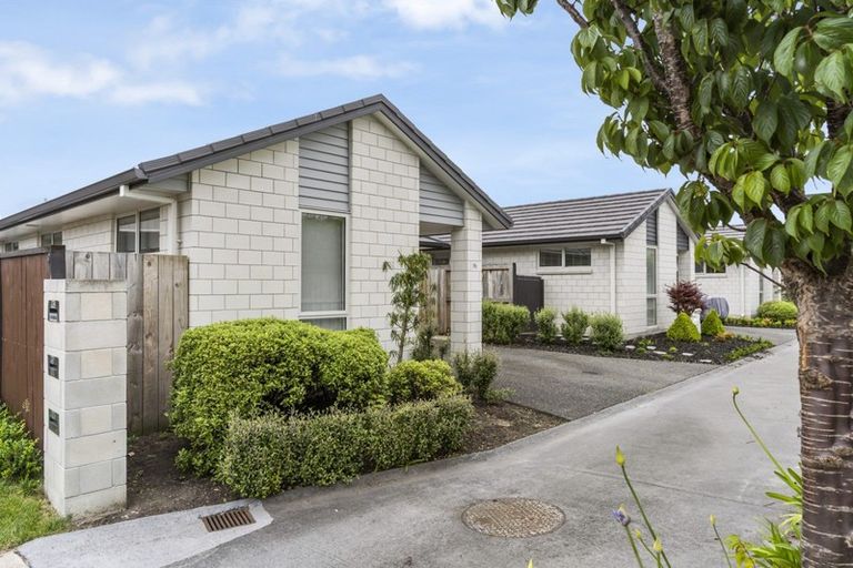 Photo of property in 19c Rewarewa Place, Matua, Tauranga, 3110