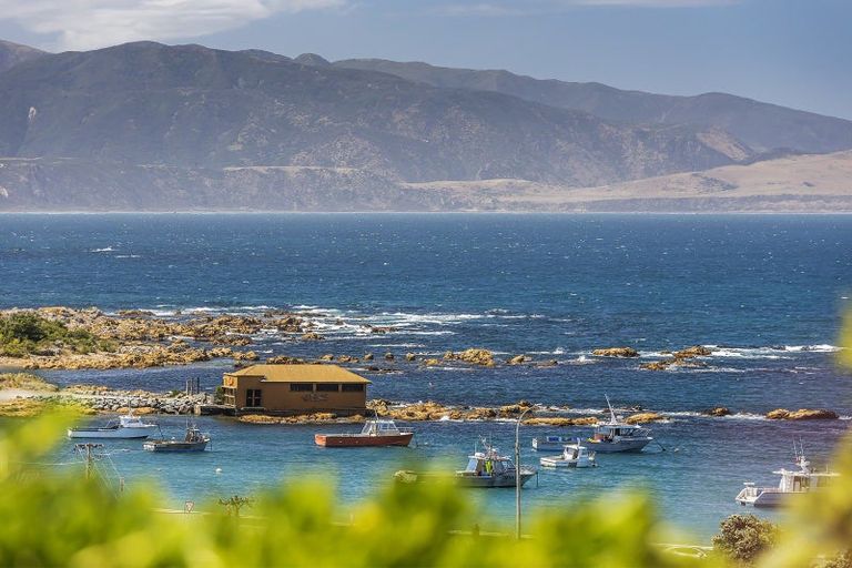 Photo of property in 156 Derwent Street, Island Bay, Wellington, 6023