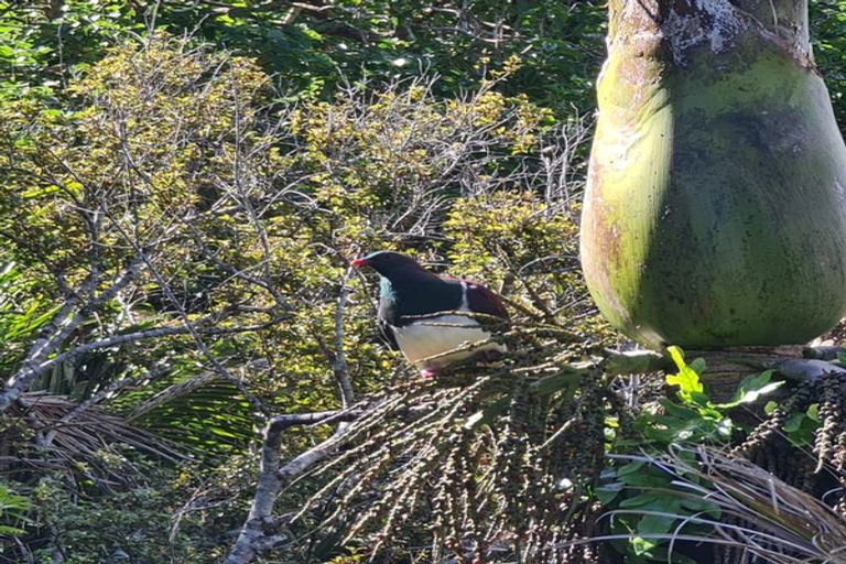 Photo of property in 10-12 Glenesk Road, Piha, New Lynn, 0772