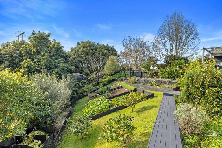 Photo of property in 554 Rangiuru Road, Rangiuru, Te Puke, 3188