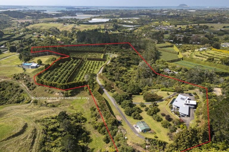 Photo of property in 83 I'anson Road, Minden, Tauranga, 3179
