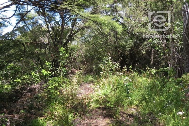 Photo of property in 492 Tuateawa Road, Tuateawa, Coromandel, 3583