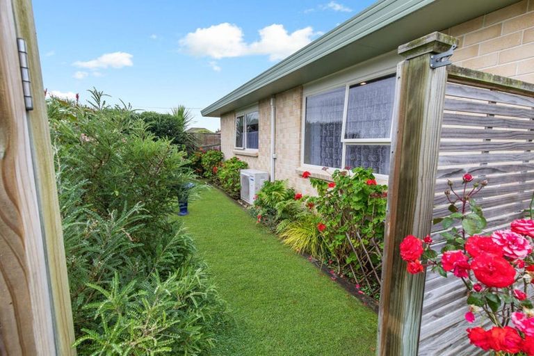 Photo of property in 61 Winchester Street, Levin, 5510