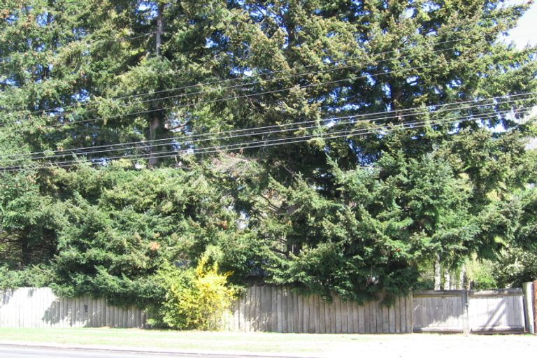 Photo of property in 198 State Highway 1, Waitahanui, Taupo, 3378