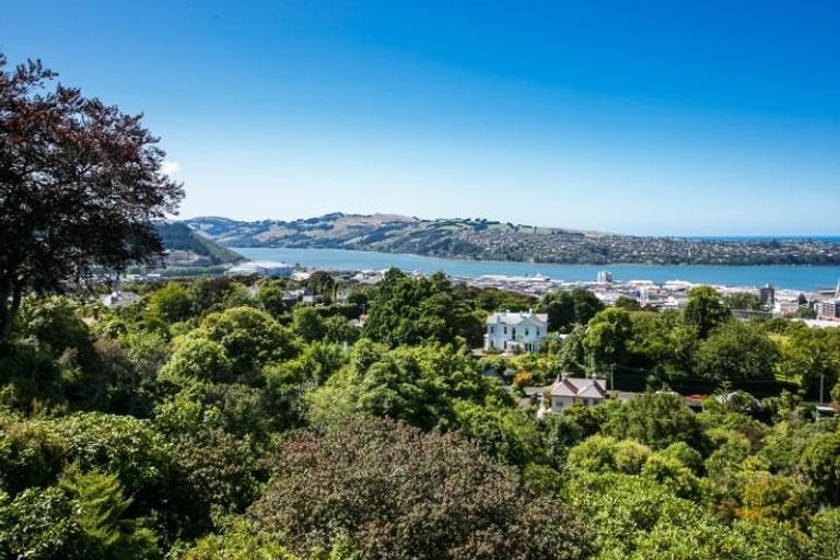 Photo of property in 28 Tweed Street, Roslyn, Dunedin, 9010