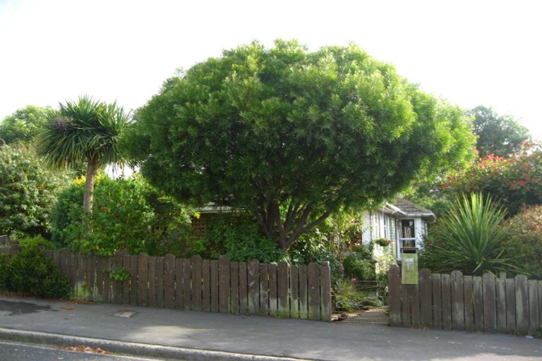 Photo of property in 48 Turnbull Street, Brockville, Dunedin, 9011