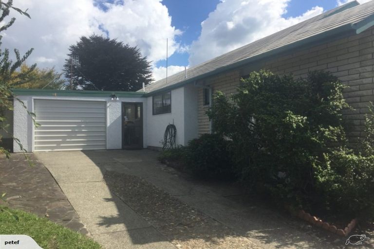 Photo of property in 17 Norrie Street, Te Puke, 3119