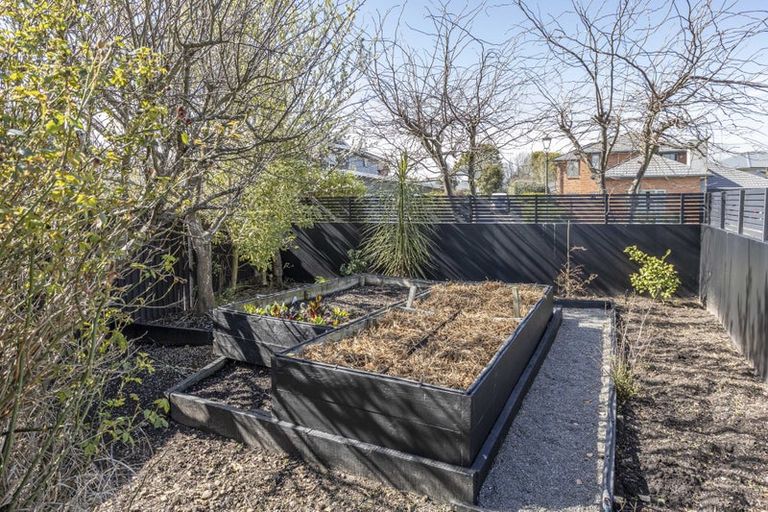 Photo of property in 3 Wildhawk Place, Shirley, Christchurch, 8061
