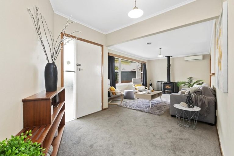 Photo of property in 117 Cameron Road, Te Puke, 3119