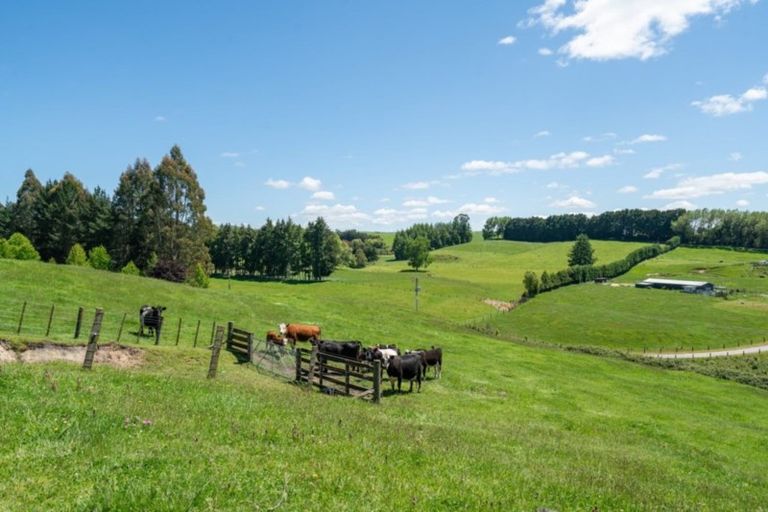 Photo of property in 483 Palmer Mill Road, Wairakei, Taupo, 3384