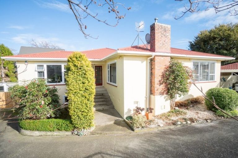 Photo of property in 86 Fitzroy Street, Terrace End, Palmerston North, 4410