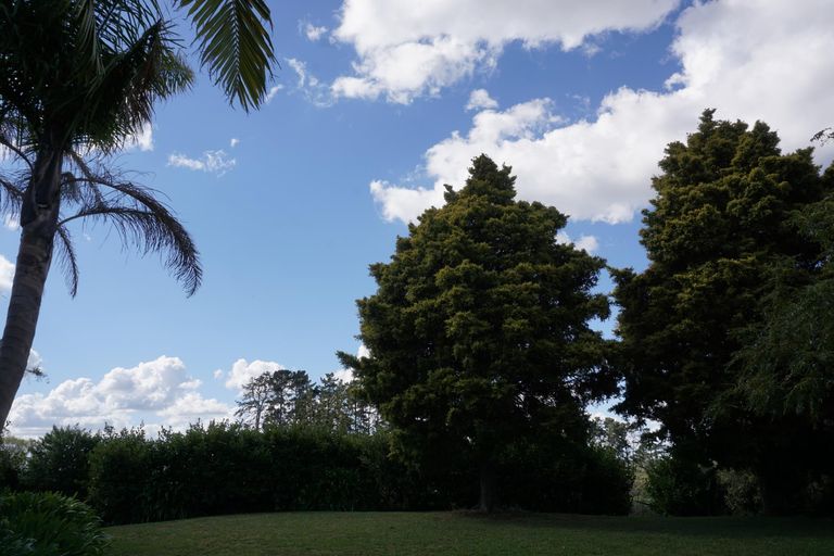 Photo of property in 159 Plantation Road, Rangiriri, Te Kauwhata, 3782