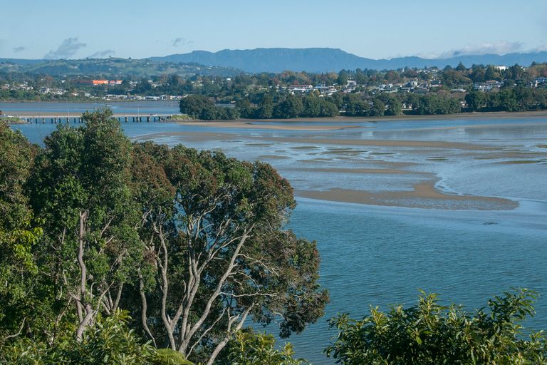 Photo of property in 250 Maungatapu Road, Maungatapu, Tauranga, 3112