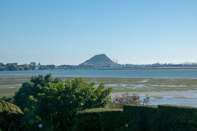Photo of property in 250 Maungatapu Road, Maungatapu, Tauranga, 3112