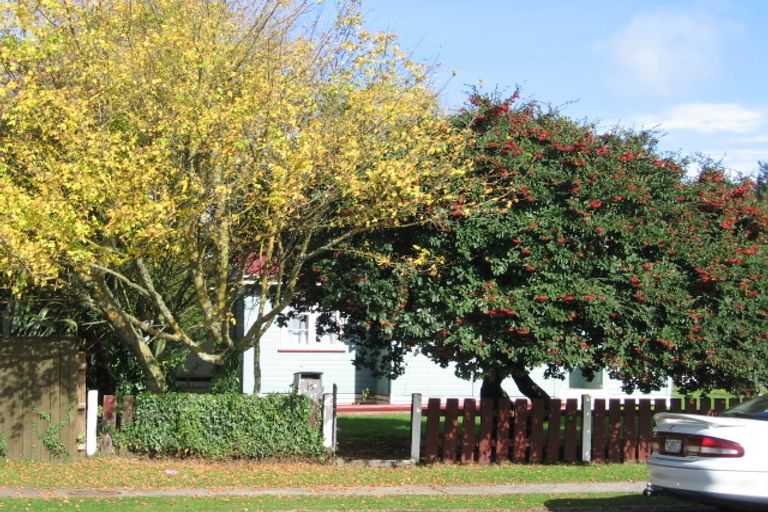 Photo of property in 15 Hawick Street, Tokoroa, 3420