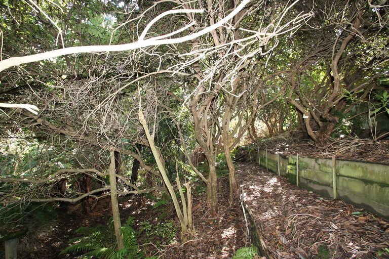 Photo of property in 63 Martin Road, Fairfield, Dunedin, 9018