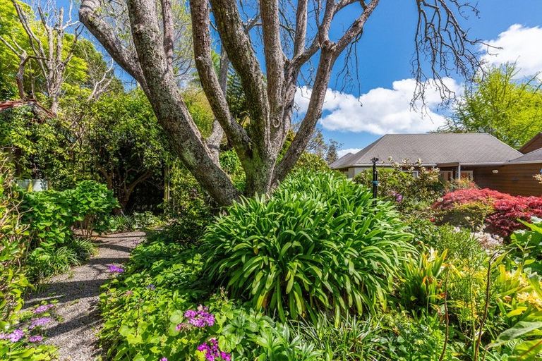 Photo of property in 36-38 Rata Street, Waikanae, 5036